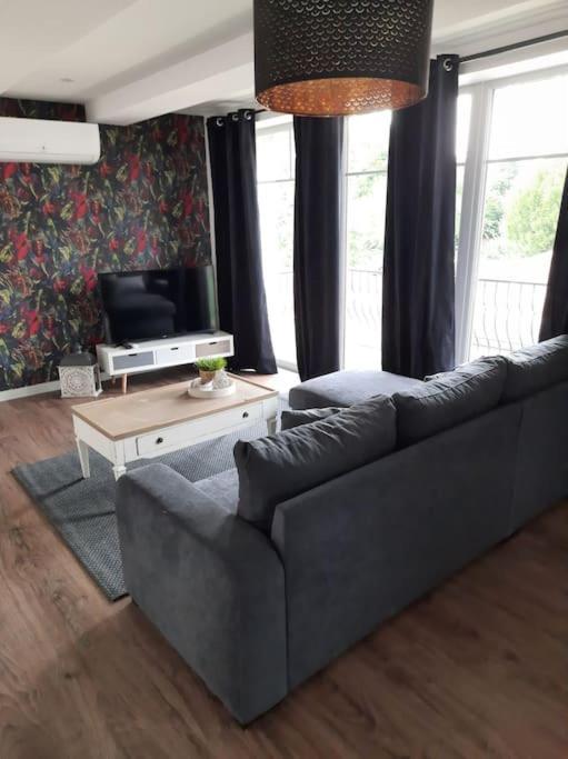 Superbe Appartement Climatise Au Centre Ville 777 Brazey-en-Plaine Zewnętrze zdjęcie